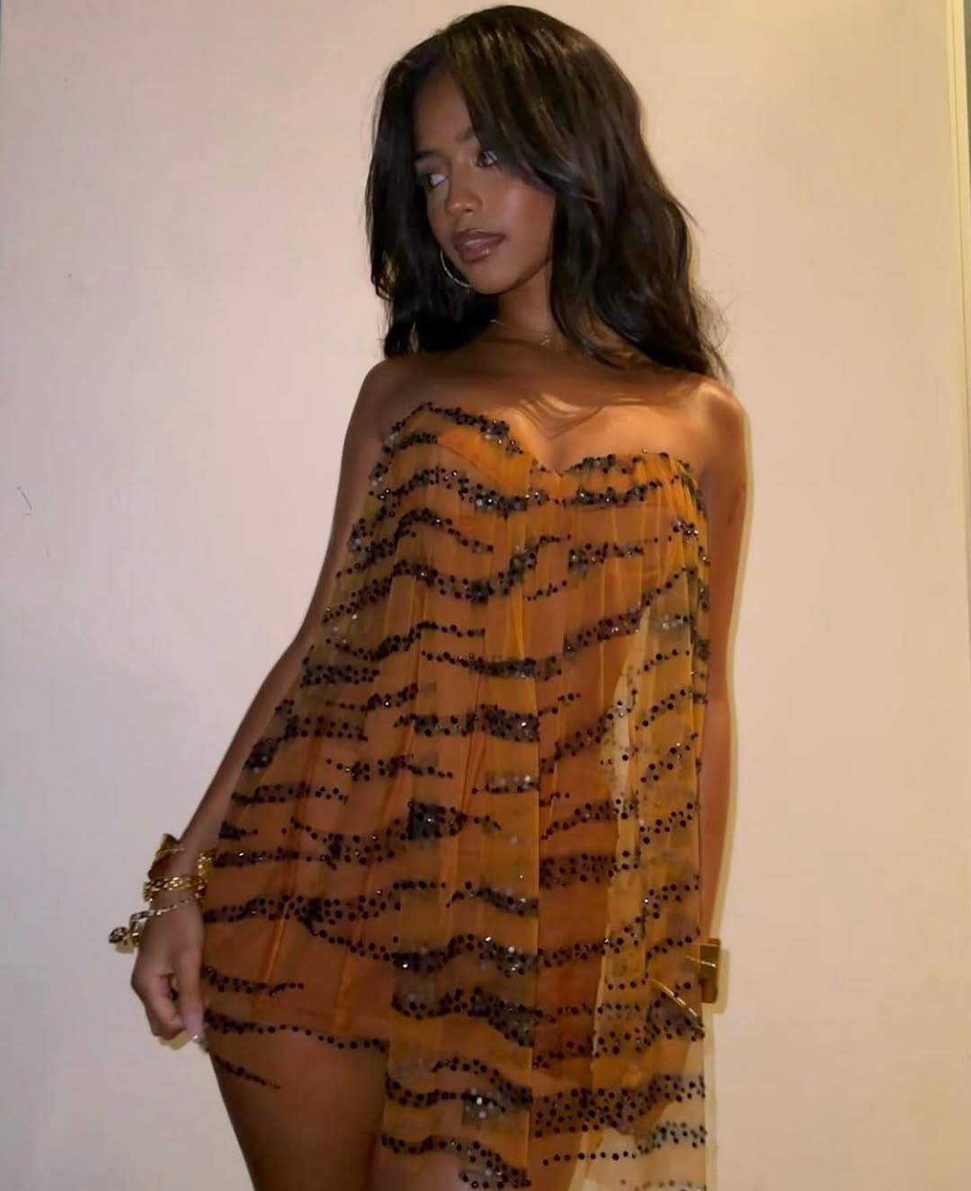 Tiger Mesh Mini Dress